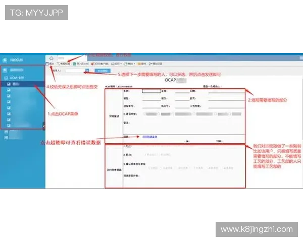 凯发集团网页版登录操作流程图解与步骤详细说明 凯发集团网页版登录操作流程图解与步骤详细说明