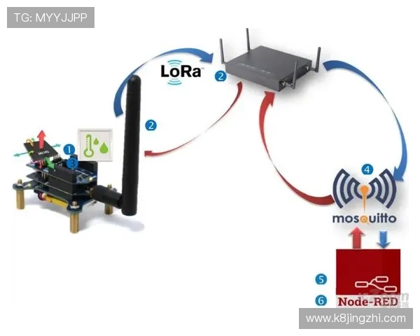 凯发手机版登录线路异常导致无法登录的常见原因及解决方案